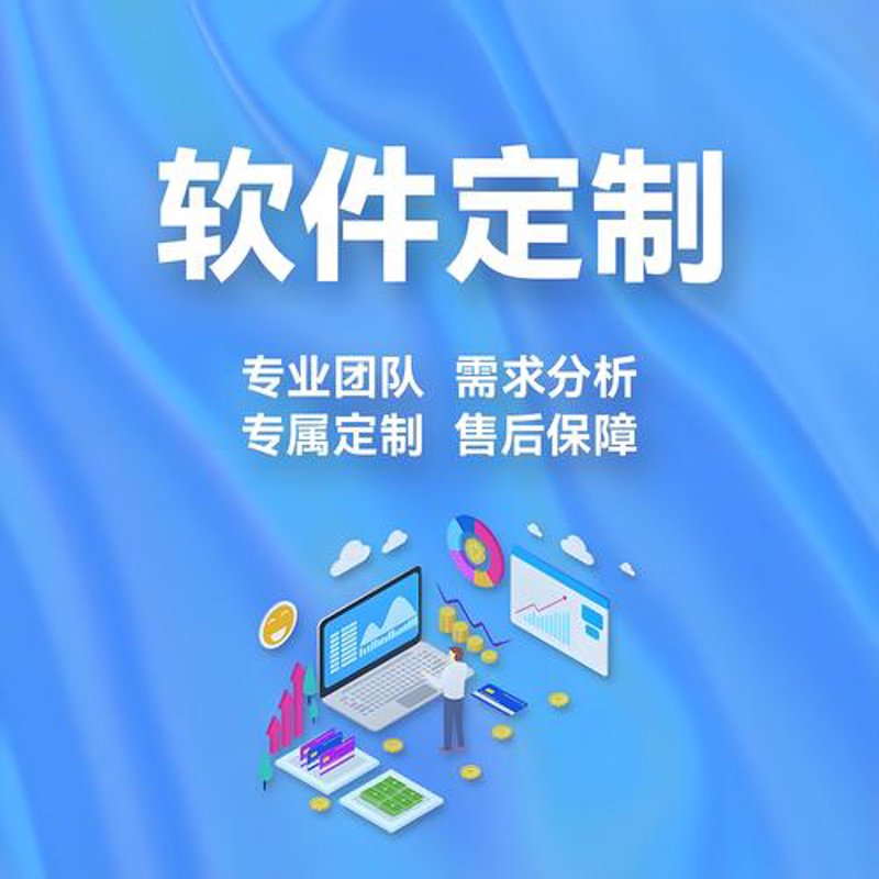系统定制开发